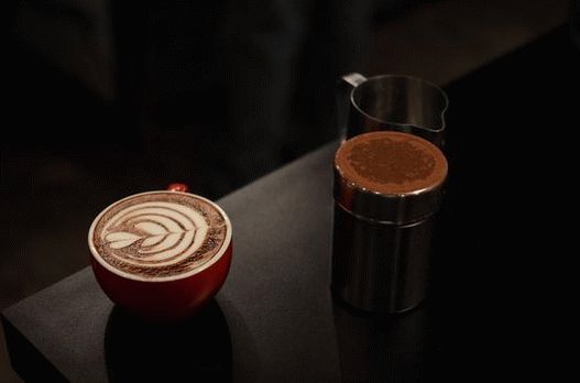 “摄影：Latte