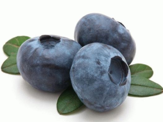“蓝莓”